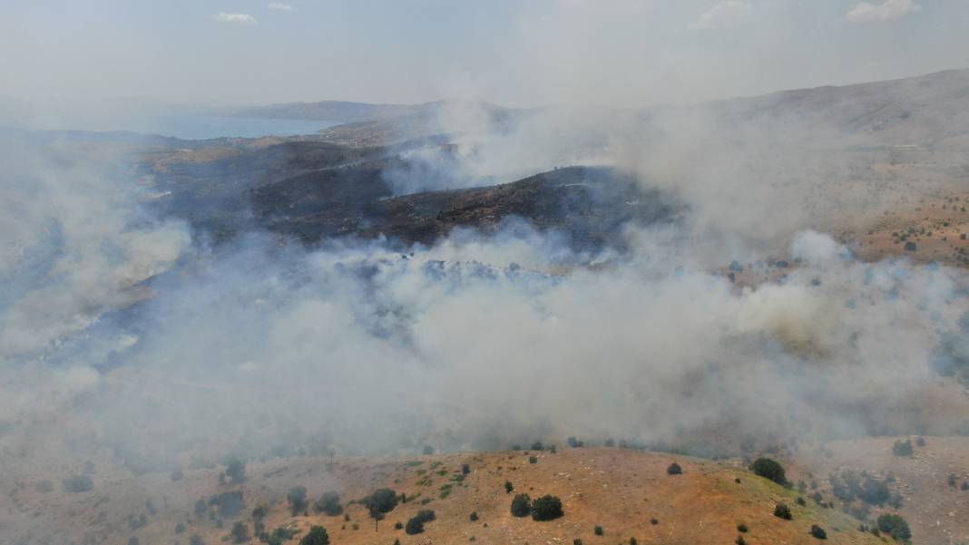 Elazığ'da orman yangını 6